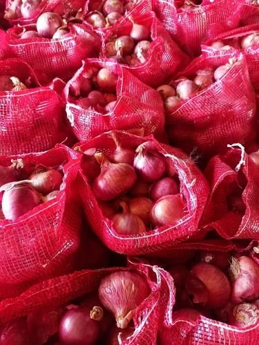 Onion