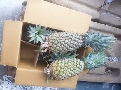 Pineapple