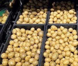 Potato